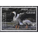 Bar-Headed Goose (Anser indicus) - Aitutaki 2020 - 22.40