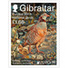 Barbary Partridge (Alectoris barbara) - Gibraltar 2019 - 1.66