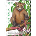 Bennett’s Tree-Kangaroo (Dendrolagus bennettianus) - Australia 2020 - 1.10