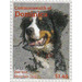 Bernese Mountain Dog (Canis lupus familiaris) - Caribbean / Dominica 2013 - 1.45