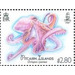 Big Blue Octopus (Octopus cyanea) - Polynesia / Pitcairn Islands 2018 - 2.80