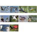 Birds 2019 - Caribbean / Sint Maarten 2019 Set