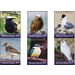 Birds - Micronesia / Marshall Islands 2019 Set