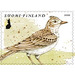 Birds of Spring - Finland 2020