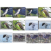 Birds of the World: Herons (2020) - Cook Islands, Rarotonga 2020 Set