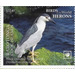 Black-Crowned Night Heron (Nycticorax nycticorax) - Cook Islands, Rarotonga 2020 - 22.40