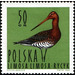 Black-tailed Godwit (Limosa limosa) - Poland 1964 - 50