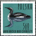 Black-throated Loon (Gavia arctica) - Poland 1964 - 5.60