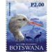 Blue Crane - South Africa / Botswana 2019 - 2