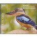 Blue-Winged Kookaburra (Dacelo leachii) - Polynesia / Cook Islands 2020 - 4