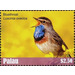 Bluethroat    Luscinia svecica - Micronesia / Palau 2018 - 2.50