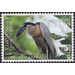 Boat-Billed Heron (Cochlearius cochlearius) - Cook Islands, Rarotonga 2020 - 6.70