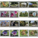 Botanical Garden Definitives (2020) - Caribbean / Cayman Islands 2020 Set