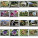 Botanical Garden Definitives (2020) - Caribbean / Cayman Islands 2020 Set
