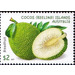 Breadfruit - Cocos (Keeling) Islands 2017 - 2