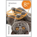 British Shorthair Cat - Romania 2020 - 8.50