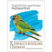 Brown-Throated Parakeet (Eupsittula pertinax) - Caribbean / Bonaire 2020 - 75