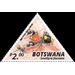 Buckspoor Spider (Seothyra fasciata) - South Africa / Botswana 2020 - 2