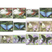 Butterflies of the World (2020) - Polynesia / Penrhyn 2020 Set