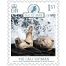 Calf of Man Wart Bank Marine Nature Reserve : Seals - Great Britain / British Territories / Isle of Man 2021