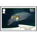 Caribbian Reef Squid (2020 Imprint Date) - Caribbean / British Virgin Islands 2020 - 80