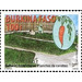 Carrots - West Africa / Burkina Faso 2011 - 100