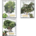 Centenarian Trees of Cyprus - Cyprus 2019 Set