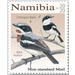 Chinspot Batis (Batis molitor) - South Africa / Namibia 2020