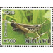 Chiwala - East Africa / Malawi 2019 - 700