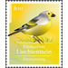Citril Finch (Carduelis citrinella) - Liechtenstein 2021 - 100