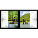 Commemorative stamp series  - Germany / Federal Republic of Germany 2005 Set