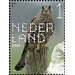 Common Kestrel (Falco tinnunculus) - Netherlands 2020 - 1