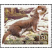 Common Weasel (Mustela nivalis) - Liechtenstein 2021 - 150