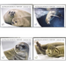 Crabeater Seal - Australian Antarctic Territory 2018 Set
