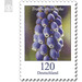 Definitive Series &quot;Flowers&quot; - Grape hyacinth  - Germany / Federal Republic of Germany 2019 - 120 Euro Cent