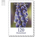 Definitive Series &quot;Flowers&quot; - Grape hyacinth  - Germany / Federal Republic of Germany 2019 - 120 Euro Cent