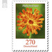 Definitive Series &quot;Flowers&quot; - Hawkweed  - Germany / Federal Republic of Germany 2019 - 270 Euro Cent
