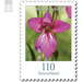 Definitive Series &quot;Flowers&quot; - Wild Gladiola  - Germany / Federal Republic of Germany 2019 - 110 Euro Cent