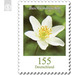 Definitive Series &quot;Flowers&quot; - Wood Anemone  - Germany / Federal Republic of Germany 2019 - 155 Euro Cent