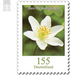 Definitive Series &quot;Flowers&quot; - Wood Anemone  - Germany / Federal Republic of Germany 2019 - 155 Euro Cent