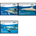 Dolphins - Cocos (Keeling) Islands 2016 Set