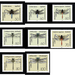 Domestic dragonflies  - Germany / Federal Republic of Germany 1991 Set