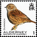 Dunnock - Alderney 2020 - 1