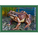 Dybowski&#039;s Frog (Rana dybowskii) - Russia 2021 - 56