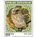 Eurasian Scops Owl (Otus scops) - Central Africa / Central African Republic 2021 - 900