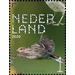 Eurasian Skylark (Alauda arvensis) - Netherlands 2020 - 1