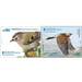 Europa (C.E.P.T.) 2019 - National Birds - Portugal / Azores 2019 Set