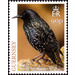 European Starling (Sturnus vulgaris) - Guernsey 2019 - 90