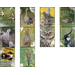 Experience Nature: Farmland Birds (2020) - Netherlands 2020 Set