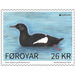 Faroese Black Guillemot (Cepphus grylle faroeensis) - Faroe Islands 2019 - 26